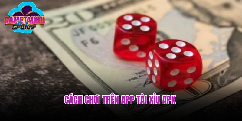 Cách chơi trên app tài Xỉu APK 