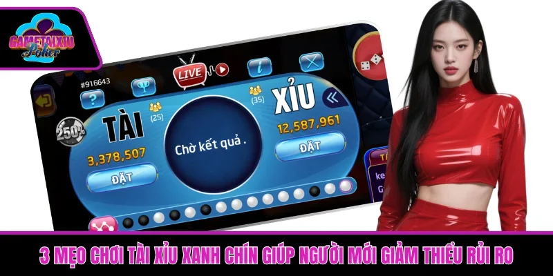 3 mẹo chơi Tài Xỉu xanh chín giúp người mới giảm thiểu rủi ro